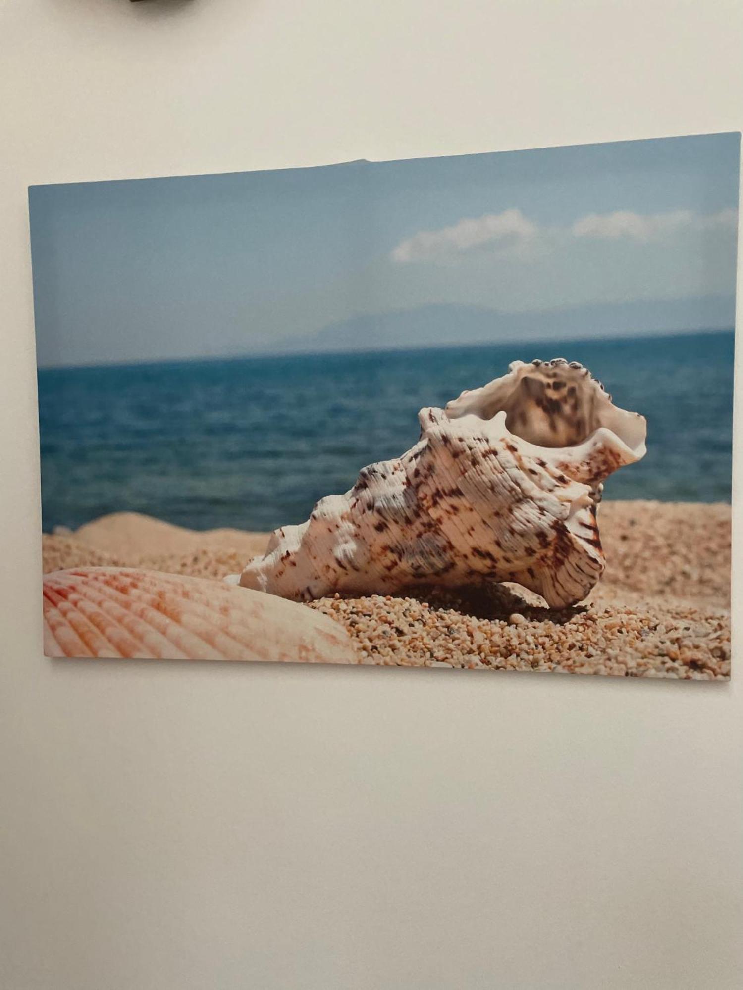 Case Vacanza Trappetodavivere Trappeto  Buitenkant foto